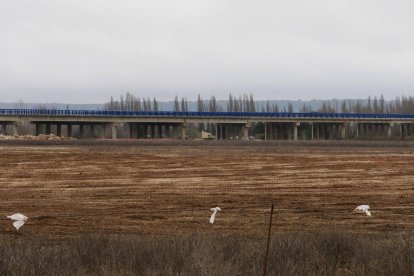 Estado de ejecución en los tramos de la A-11 en la provincia de Valladolid.