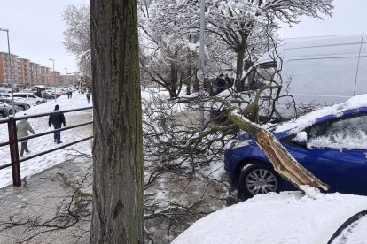 Nieve en Ávila.