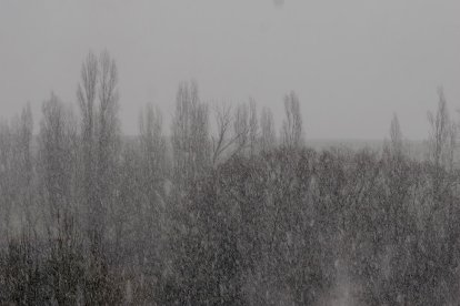Nieva en Laguna de Duero (Valladolid).