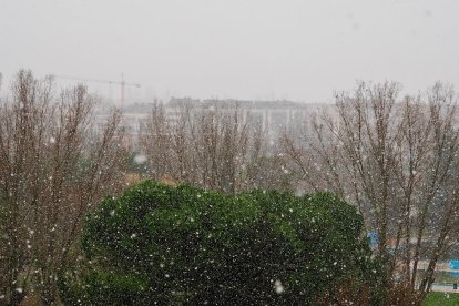 Nieva en Laguna de Duero (Valladolid).