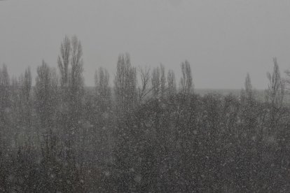 Nieva en Laguna de Duero (Valladolid).