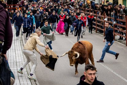 Miles de personas asisten a la celebración del Toro de San Sebastián en Ciudad Rodrigo (Salamanca)