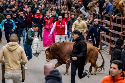 Miles de personas asisten a la celebración del Toro de San Sebastián en Ciudad Rodrigo (Salamanca)