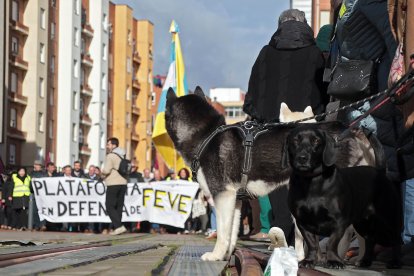 La Plataforma en Defensa del Ferrocarril de Vía Estrecha (Feve) de León convoca una manifestación y cadena humana