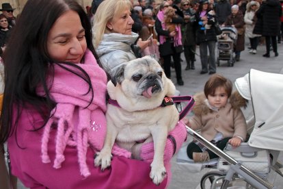 San Antón reúne a decenas de mascotas en León para la tradicional bendición de animales
