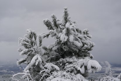 Temporal de nieve en El Bierzo.
