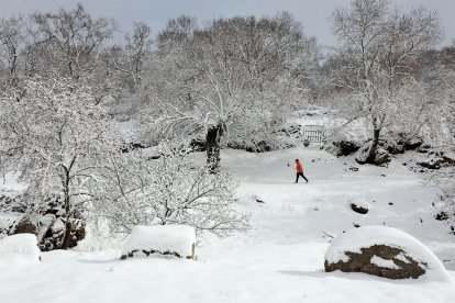 Temporal de nieve en el sur de la provincia de Salamanca