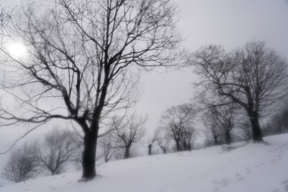 Temporal de nieve en el paraje natural de Las Médulas (León)