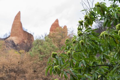 El CSIC documenta los daños ambientales y geológicos clave para la recuperación postincendio de Las Médulas