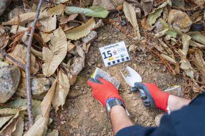 El CSIC documenta los daños ambientales y geológicos clave para la recuperación postincendio de Las Médulas