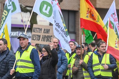 Tractorada de agricultores y ganaderos en Burgos contra Mercosur