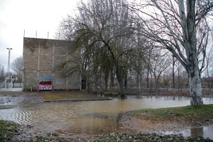 El río se desborda en Jiménez de Jamuz (León).