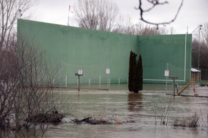 El río Órbigo se desborda a su paso por Cebrones del Río (León).