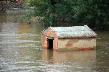 El río Órbigo se desborda a su paso por Cebrones del Río (León).