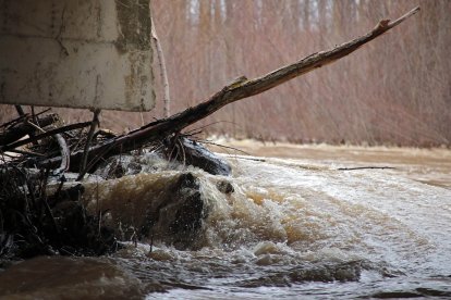 El río Esla se desborda a su paso por Villalobar (León).
