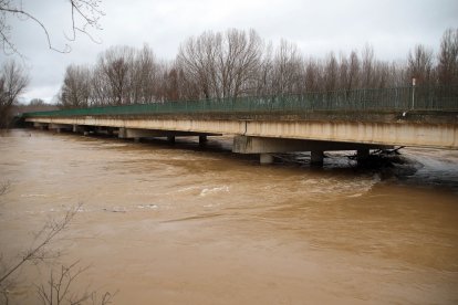 El río Esla se desborda a su paso por Villalobar (León).