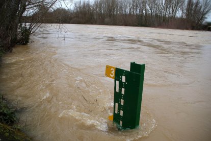 El río Esla se desborda a su paso por Villalobar (León).
