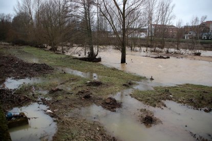 El río Bernesga se desborda a su paso por Puente Castro (León).