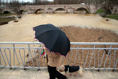 El río Bernesga se desborda a su paso por Puente Castro (León).