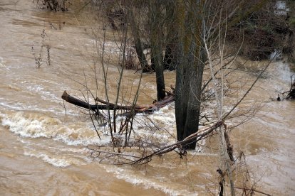 El río Bernesga se desborda a su paso por Puente Castro (León).