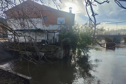El río Órbigo a su paso por Cebrones del Río (León).