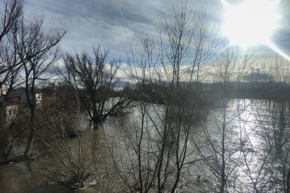 El río Órbigo a su paso por Cebrones del Río (León).
