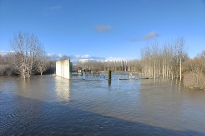 El río Órbigo a su paso por Cebrones del Río (León).