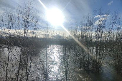 El río Órbigo a su paso por Cebrones del Río (León).