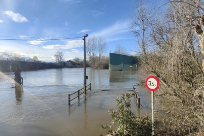 El río Órbigo a su paso por Cebrones del Río (León).