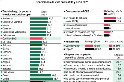 Condiciones de vida en Castilla y León 2025 (15cmx11cm)