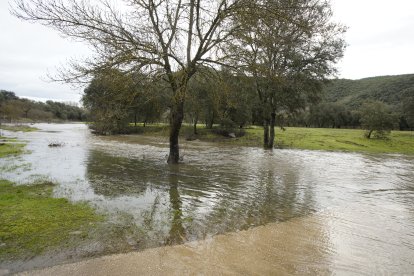 El acceso a la localidad de Requejo (León), inundado por el temporal de lluvias