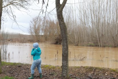 Crecida del Río Orbigo a su paso por Villabrazaro