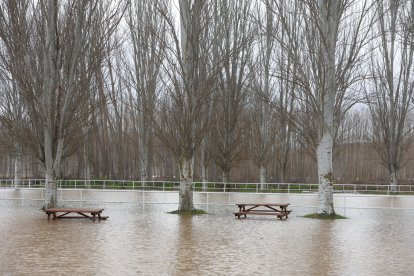 Crecida del Río Orbigo a su paso por Villabrazaro