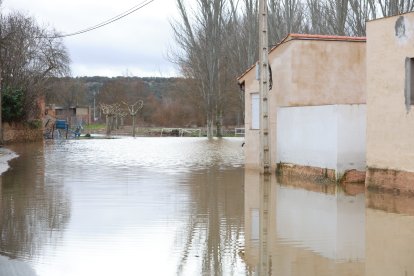 Crecida del Río Orbigo a su paso por Villabrazaro