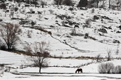 La nieve cubre los valles de la comarca de Arbás, León