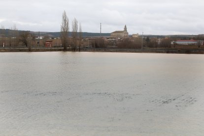 Campos anegados en la vega del río Ucieza en Amusco, en Palencia, por la borrasca Marta