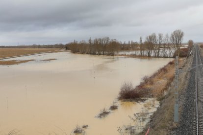 Campos anegados en la vega del río Ucieza en Amusco, en Palencia, por la borrasca Marta