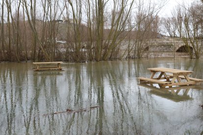 Campos anegados en la vega del río Ucieza en Amusco, en Palencia, por la borrasca Marta