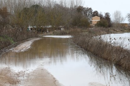 Campos anegados en la vega del río Ucieza en Amusco, en Palencia, por la borrasca Marta