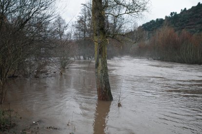 Aumento del caudal del río Sil a su paso por Ponferrada.