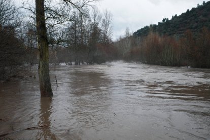 Aumento del caudal del río Sil a su paso por Ponferrada.