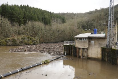 Maleza y troncos acumulados junto a la presa de Montearenas en el río Boeza en Ponferrada debido al temporal de lluvias