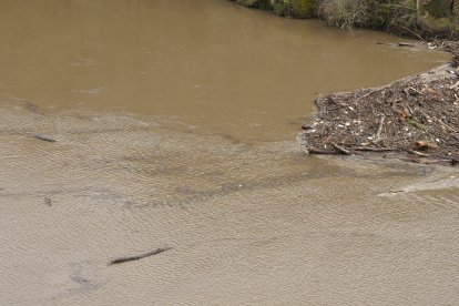 Maleza y troncos acumulados junto a la presa de Montearenas en el río Boeza en Ponferrada debido al temporal de lluvias