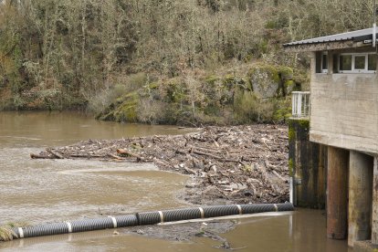 Maleza y troncos acumulados junto a la presa de Montearenas en el río Boeza en Ponferrada debido al temporal de lluvias