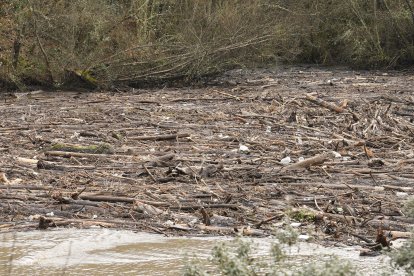 Maleza y troncos acumulados junto a la presa de Montearenas en el río Boeza en Ponferrada debido al temporal de lluvias