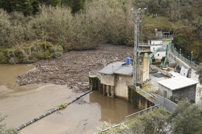 Maleza y troncos acumulados junto a la presa de Montearenas en el río Boeza en Ponferrada debido al temporal de lluvias