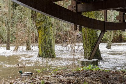 Crecida del Río Eresma en Segovia, a su paso por los molinos, la casa de la moneda y La Fuencisla