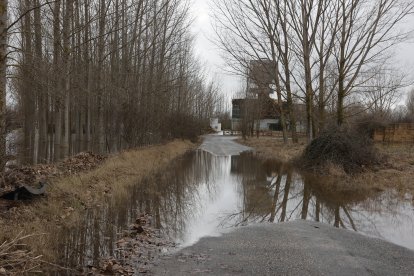 Crecida del rio Duero a su paso por Soria