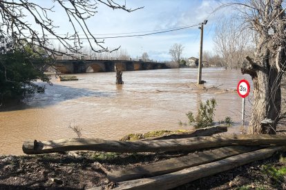 El río Órbigo a su paso por Cebrones del Río en León