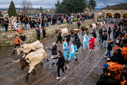 Miles de personas celebran el comienzo del Carnaval del Toro
